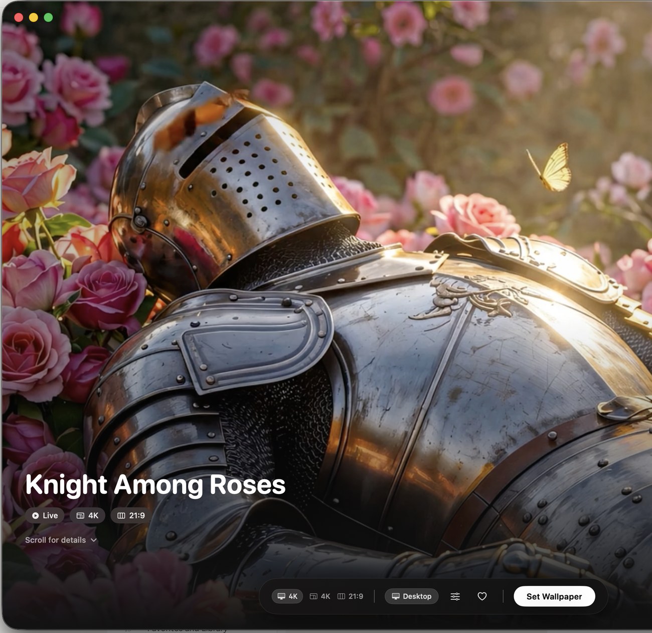 A wallpaper detail view with the display selector